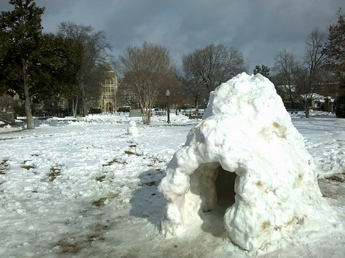 Healy Lawn Snow Hut