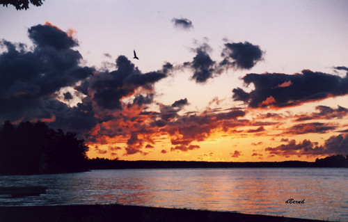 sunset seagulls ontario canada beach clouds gravenhurst tabooresort muskokalake