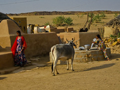 Jaisalmer 100 - Desert Camel Safari - Mud village