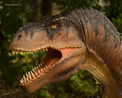 nikon louisiana dinosaur neworleans trex bipedal audubonzoo cretaceous meateater trannosaurusrex tyrannosaurid d700