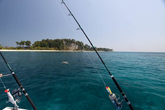 IMG_3698.jpg