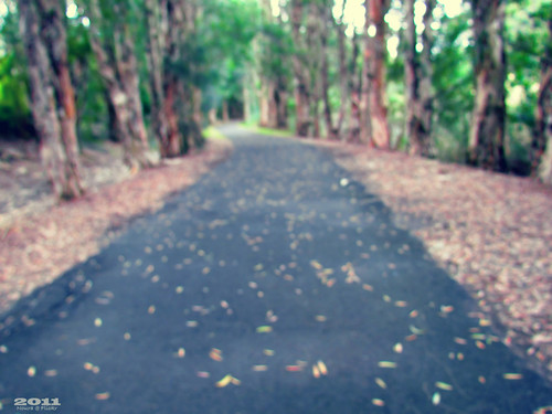 Fall season | by ɴΘƲRa