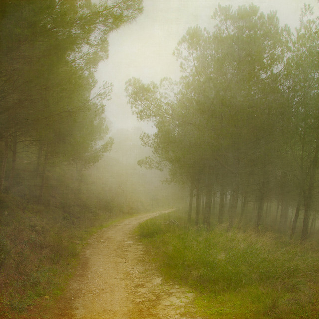Curved path through the mist ~ soft redo