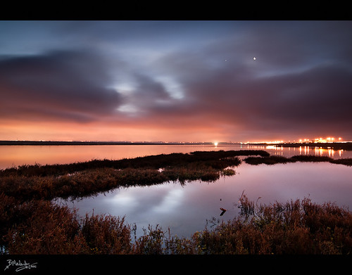 Bolsa Chica Wetlands Sunrise
