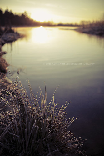 morning winter lake sunrise frost dof surrey february canonef35mmf14lusm surreylake kvdl