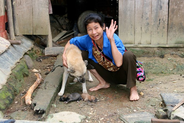 Village woman and dog, near Sapa, Vietnam