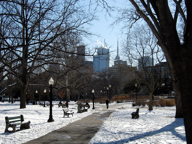 View across Allan Gardens in downtown Toronto