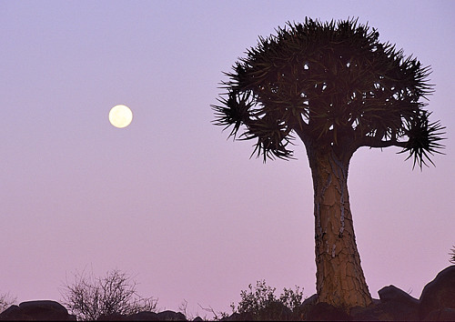 Namibia, afterglow