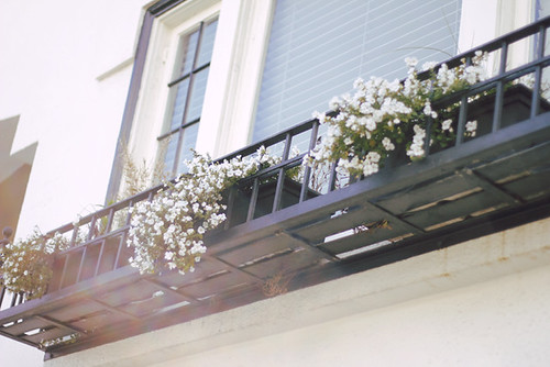 Union Street | by micaelahoo