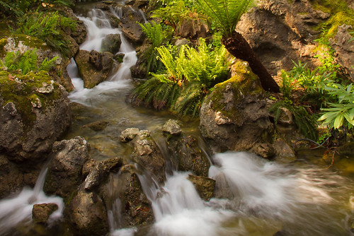 Pirates cove | by Cribbs Photographer