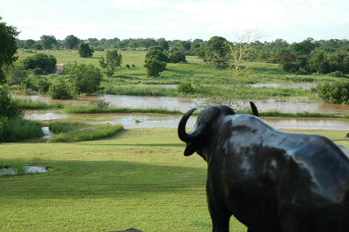 Inyati - Sand River by Inyati Game Lodge, The perennial Sand River runs through Inyati with its golden African sunshine and cool, shady hideaw