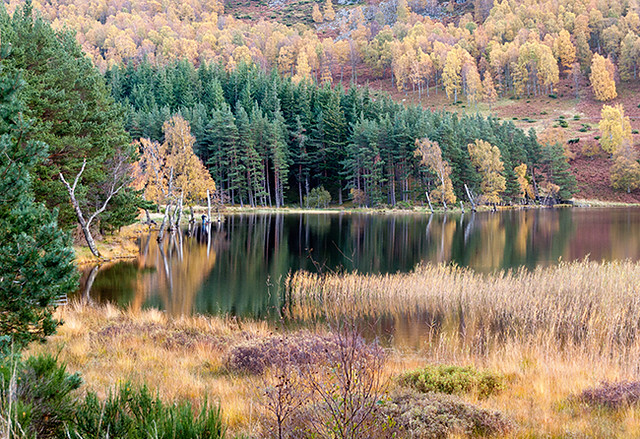 Autumn at Loch Pityoulish