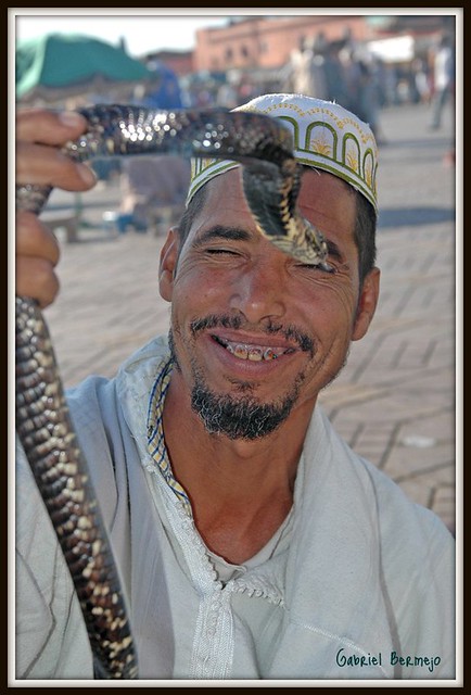 Encantador de serpientes - Marrakech