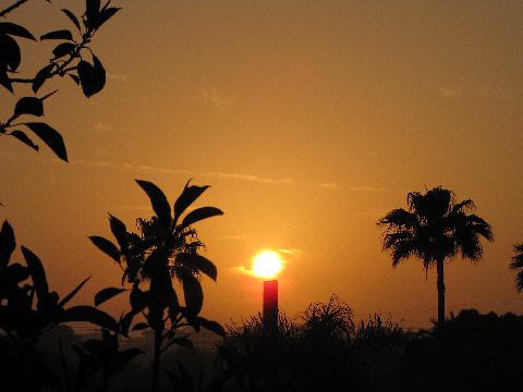 sky sun sunrise dawn backyard florida palmtrees views