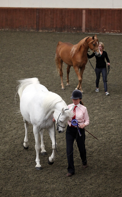 Merrist Wood, Guildford, Surrey, ENGLAND: South East Spring Arabian Horse Show 2011