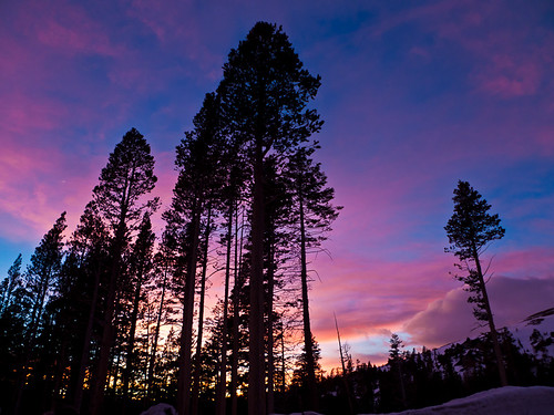 pink trees sunset sky snow black clouds carson purple tahoe sierranevada carsonpass