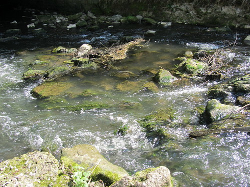 mehr Wasser by Huhnbeauftragter, bach