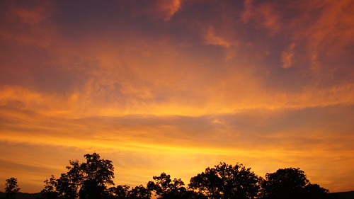 DSC04709 by earlayers,