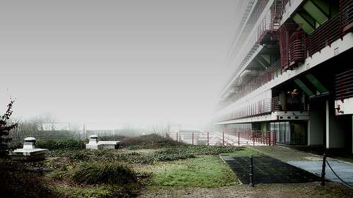 backside & white light by glasseyes view