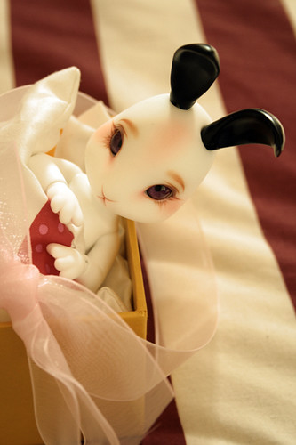 Coco | by Crafts, Dolls & Androids