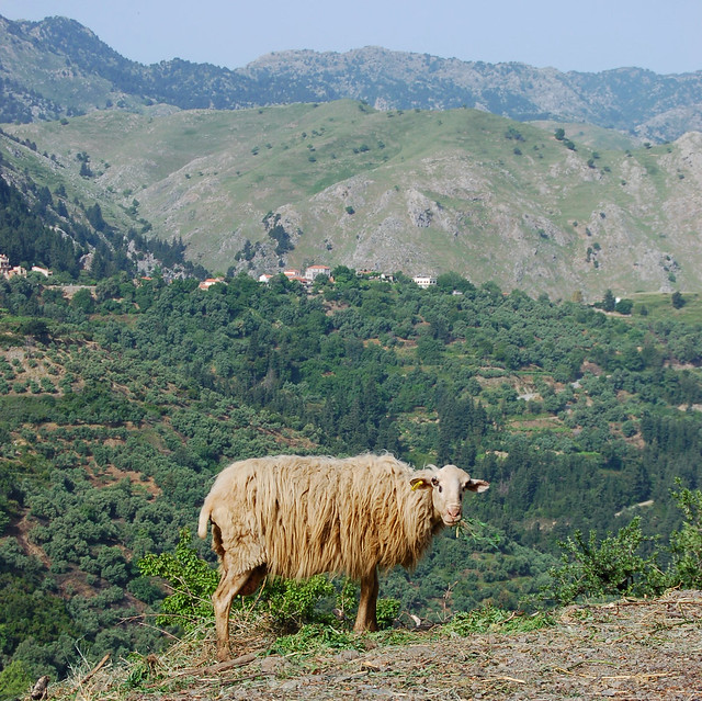 Shepherd's view from Zourva on the Greek island of Crete
