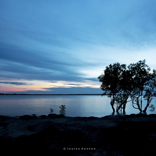 ocean blue sunset sky cloud tree beach water silhouette sunrise square rocks colours nt australia darwin stillness northernterritory nightcliff
