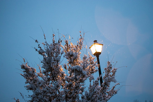 Winter light