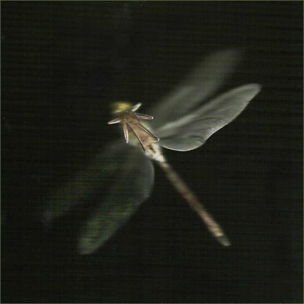 Dragonfly Scan