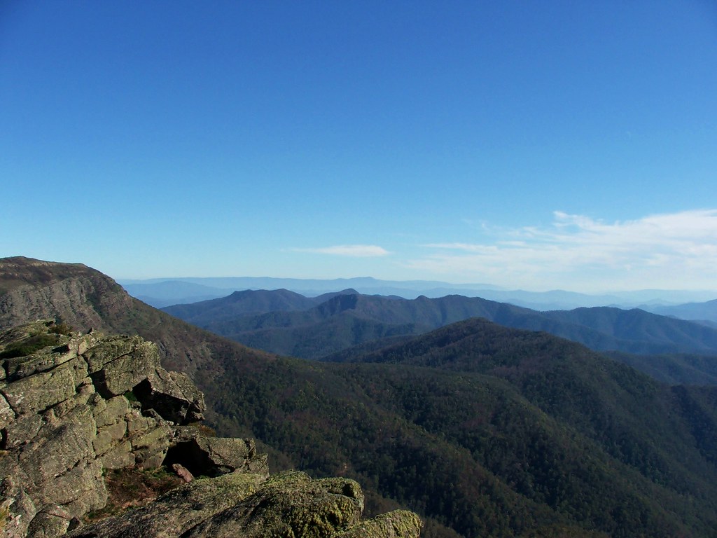Picture from The Bluff Trail | This is a picture from my hik… | Flickr