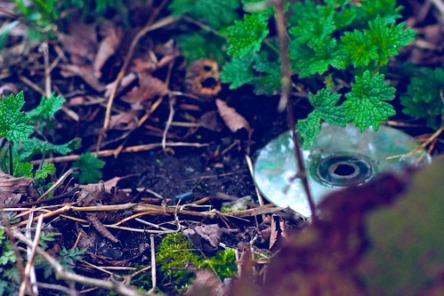 Hiding Compact Disk | by Trent Niekerk
