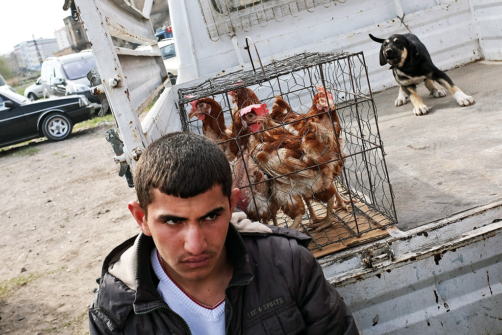 Kuş pazarı- Kayseri