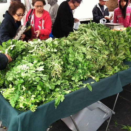 Leafy Greens @ Daly City Farmers' Market at Serramonte Center