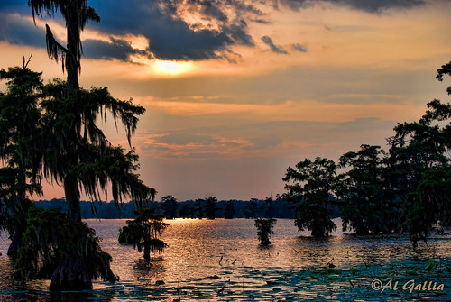 sunset summer tree water reflections louisiana peace july swamp cypress cypresstree lakemartin cypressisland