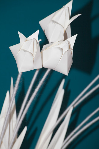 Paper flowers | by Portokalis