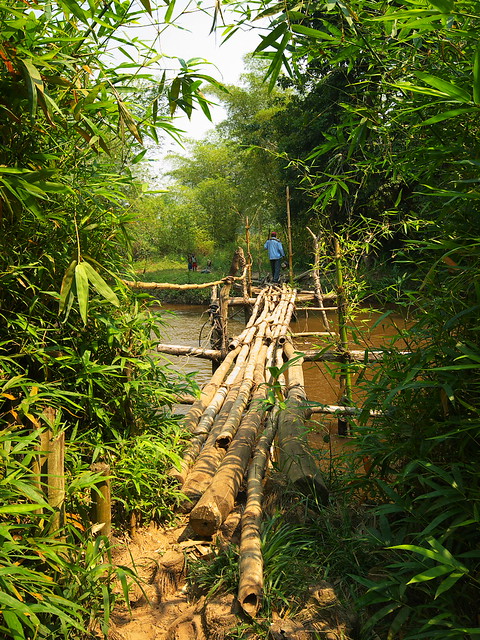 Bamboo gauntlet