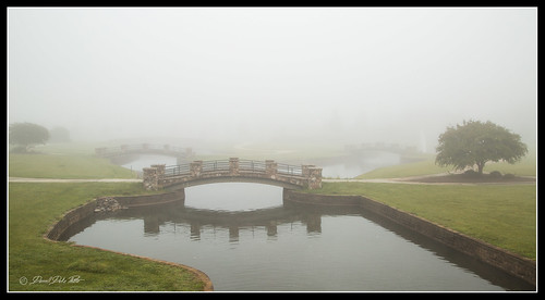grandoverresort golfcourse fog landscape