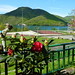 Flor y jardines del Hotel Rural Quinto Real en Eugi - Navarra