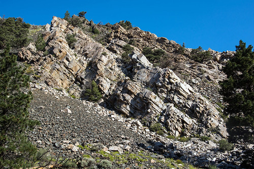 Drive-By Landscapes by RuggyBearLA, Roadside randomnesscalifornia unitedstates coleville