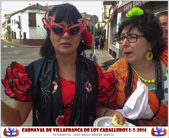 Carnaval de Villafranca de los Caballeros 2014