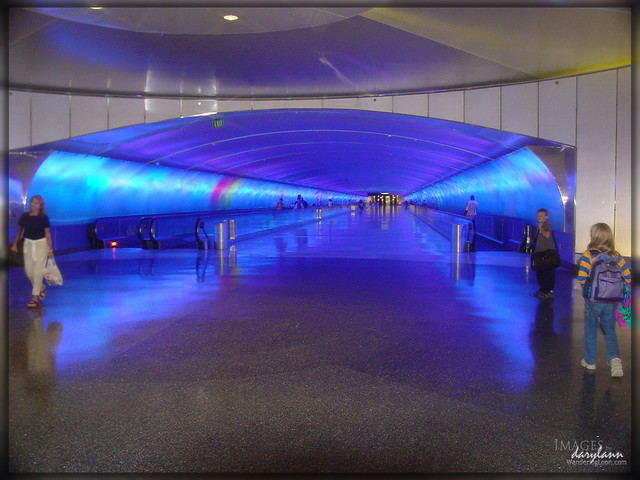 Detroit Metro Airport Light Tunnel 1