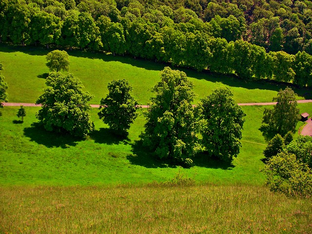 ILU- Schwäbische Alb , Alblandschaft mit Bäumen , 74015/3509