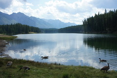 Johnson Lake