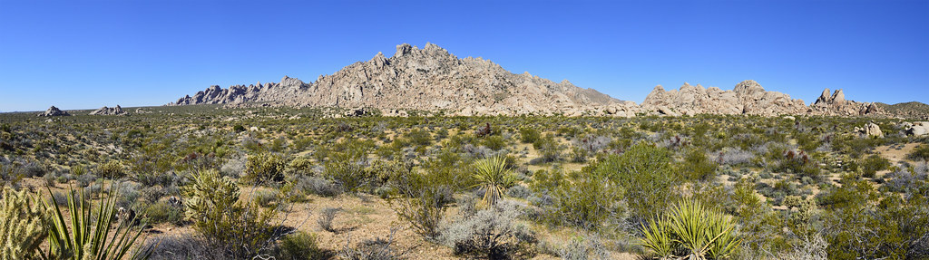 Mojave Desert Landscape | Mojave National Preserve Californi… | Flickr