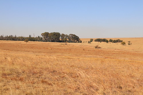 southafrica südafrika suidafrika mpumalanga landscape botshabelo