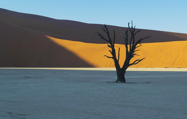 Dead Vlei, Namib Desert, Namibia