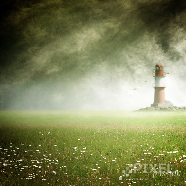 ~ the lighthouse ~