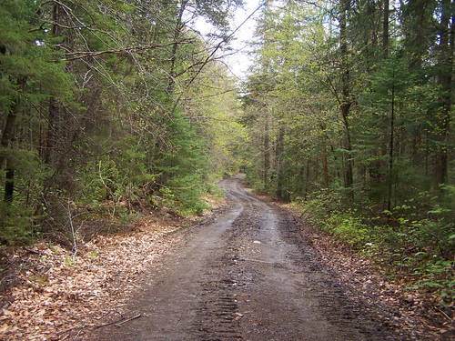 wild mountain club forest way moose section muddy less andyarthur vanderwhacker