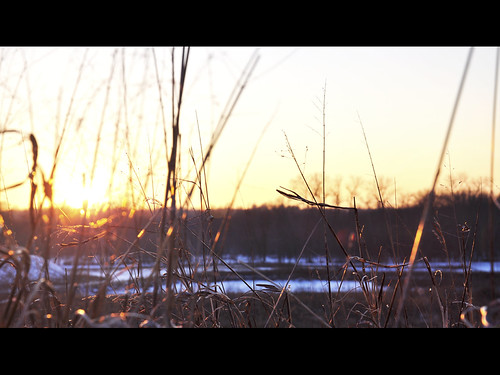 Phony by devin_clark, Yeah. So I want a 50mm f/1.4 lens really bad... and I have been taking pictures and photoshopping th
