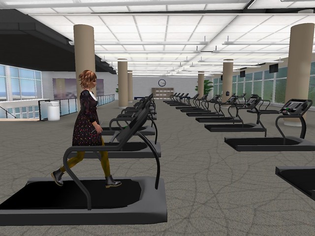 Plenty of Treadmills to go around... - Chimera Cosmos