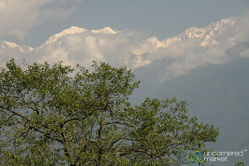india mountains nature landscape sikkim pelling khangchendzonga snowcappedpeak